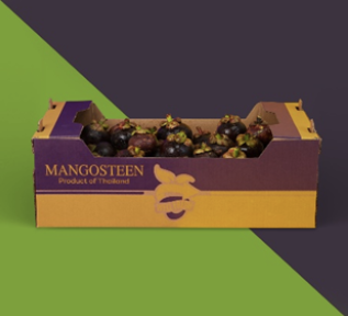 Sweet Fresh Mangosteen