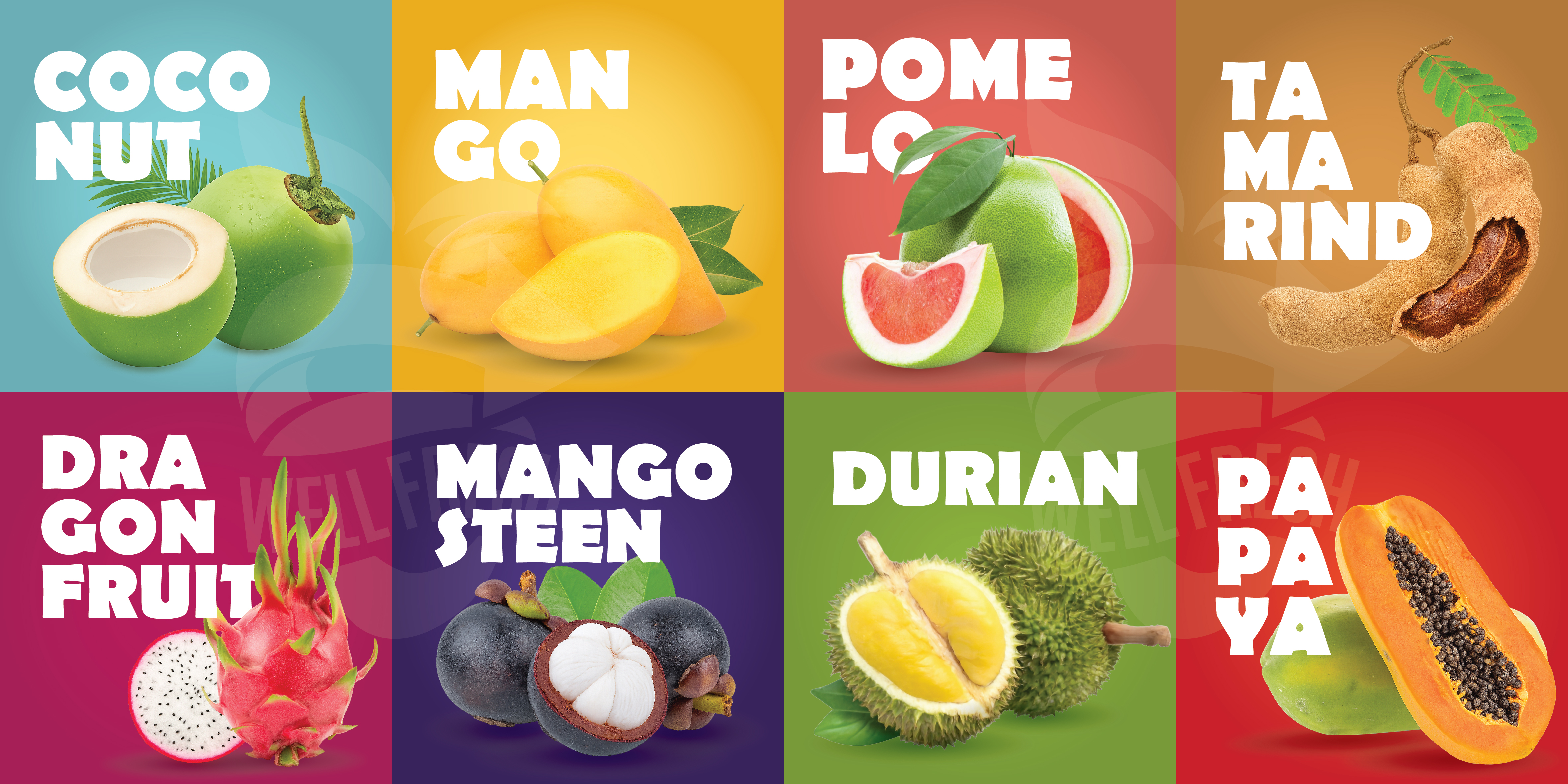 WellFresh Operations & Facilities