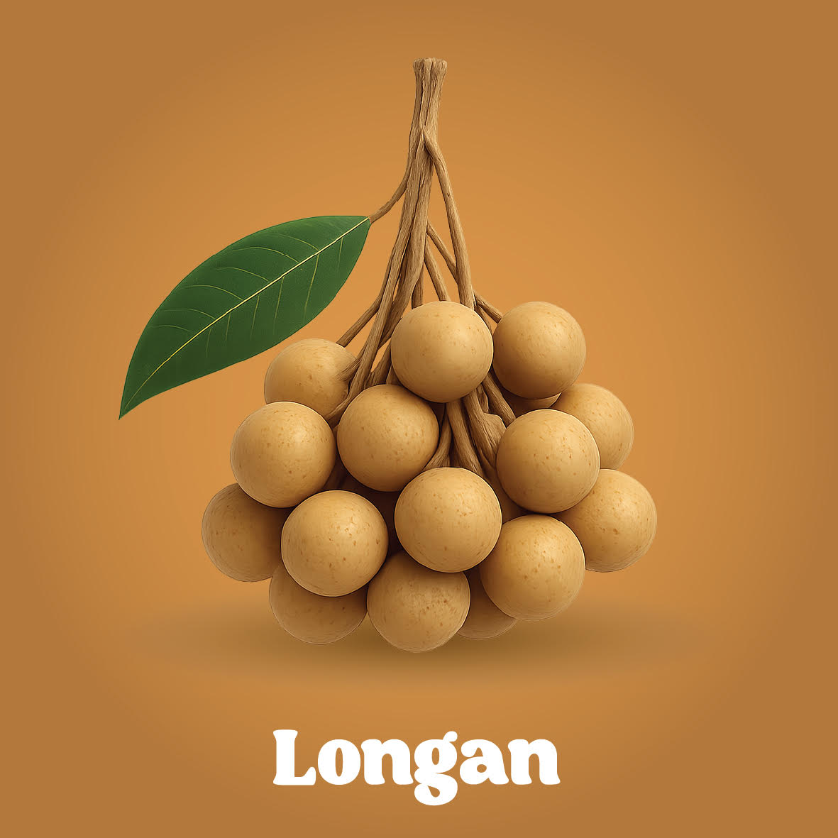 Fresh Longan